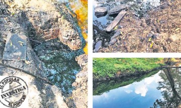 Tragedia por derrame de crudo mata fauna de ribera