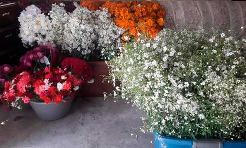 Se duplica el precio de la flor de muerto