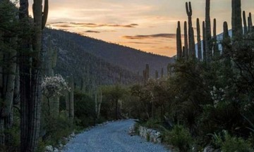 Afectan asentamientos irregulares la Biosfera