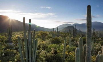 Registran saqueos de fauna en la Reserva