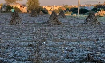 Baja a 0 grados la temperatura en Valle de Libres-Oriental