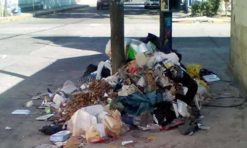 Se acumula basura por suspensión de recolección