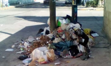 Buscan disminuir generación de basura