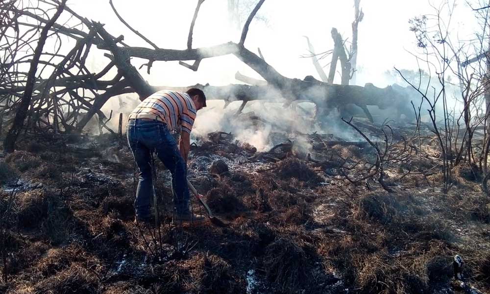 Devoran incendios forestales cerca de 3 hectáreas en Chignautla