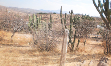 Prevén ola de calor en la Mixteca