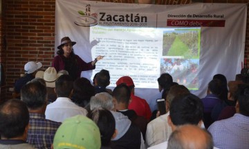 Impulsan la producción de la manzana en Zacatlán 