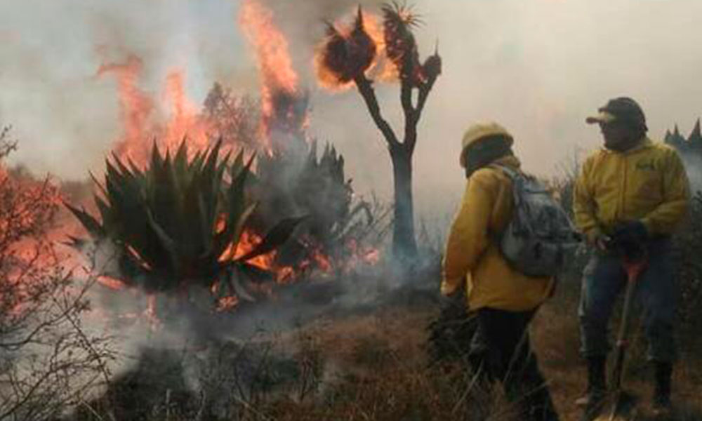 Termina incendio con 80 hectáreas en Acajete