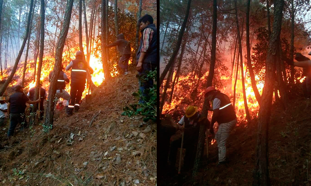 Muere joven al ayudar a sofocar incendio forestal en Zautla