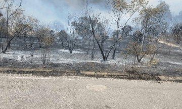Daña incendio 2 mil hectáreas en la Mixteca