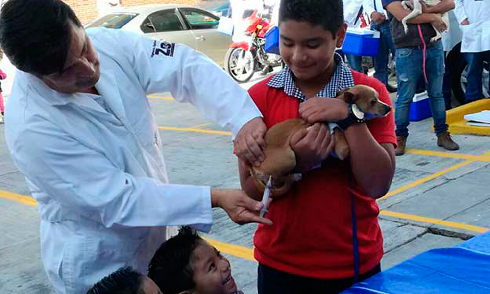 Esperan vacunar a 17 mil perros 