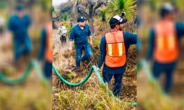 Se suma edil de Libres a labores para combatir incendio forestal