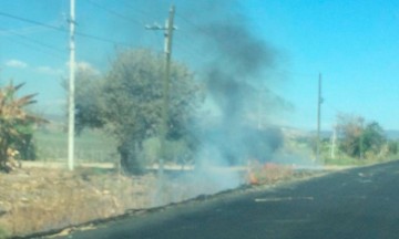 Registran cuatro incendios diarios