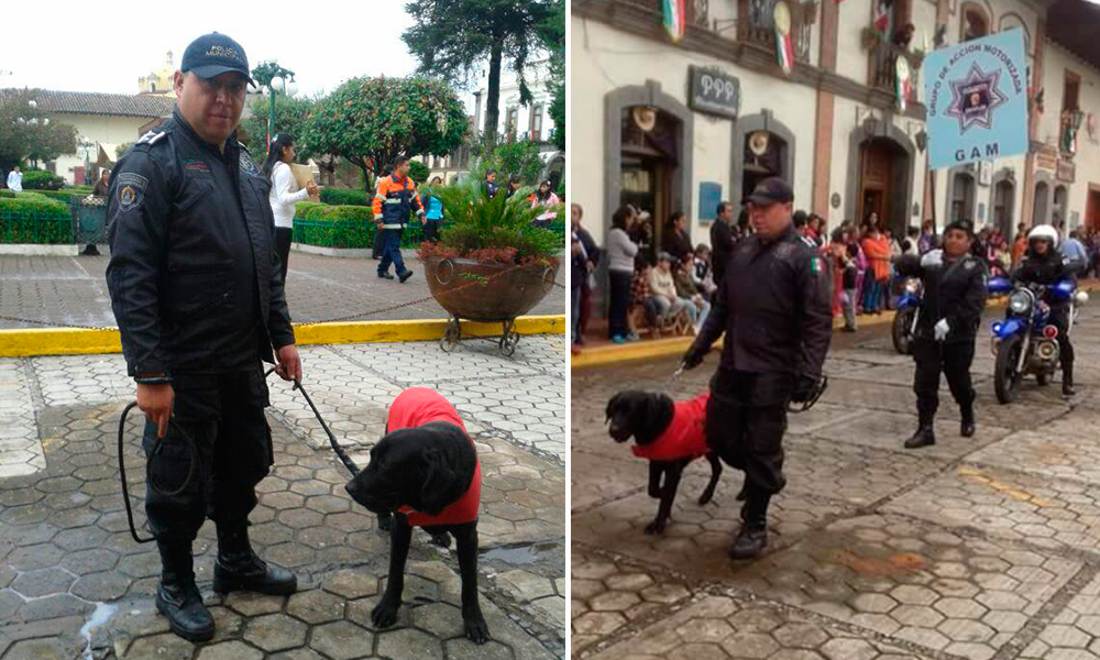 Despiden a “El Oso” un perro policía de Zacatlán