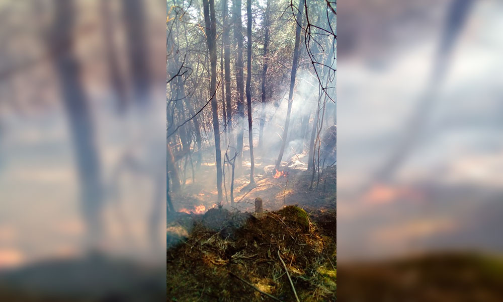 Suma 36 horas incendio forestal en el cerro El Pinal, en Acajete