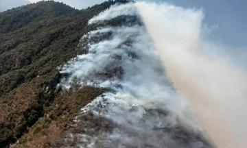 Tras 4 días sofocan incendio en El Pinal