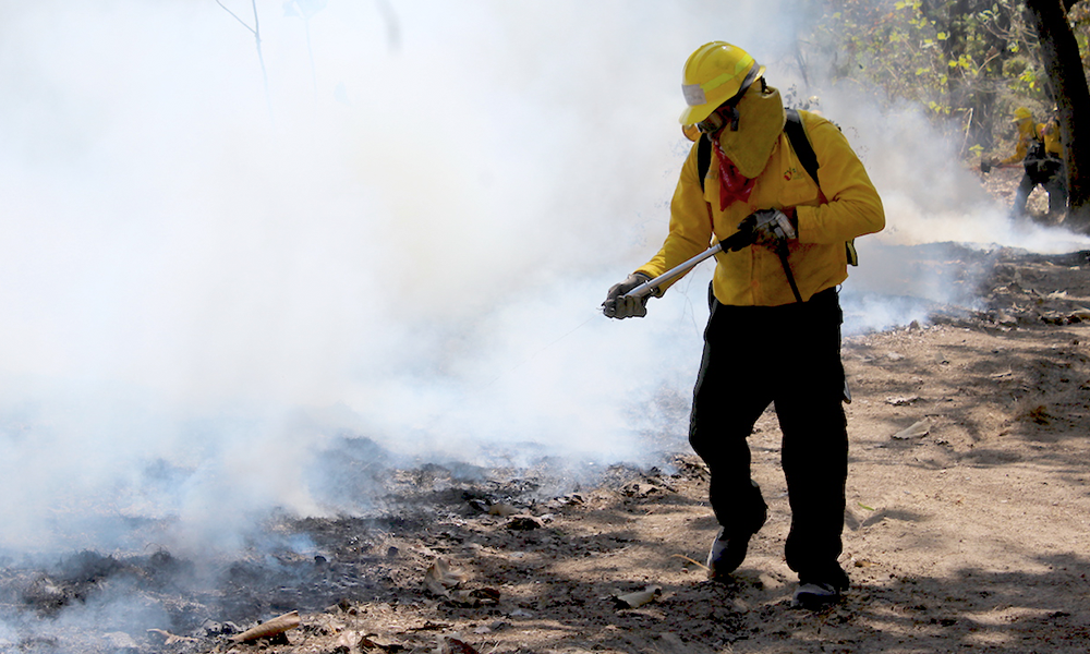 Incendio consume zona boscosa en Huauchinango