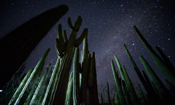 Invitan a recorrido nocturno en Reserva de la Biósfera