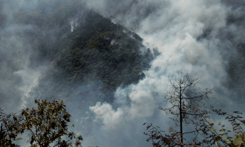 Sofocan incendio de Zacatlán