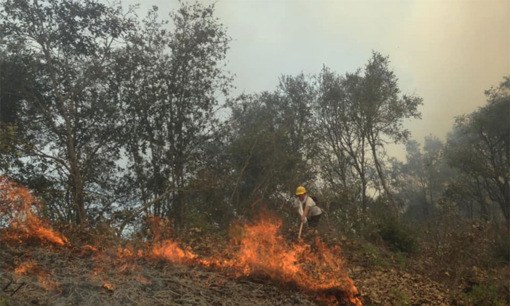 Consume incendio 150 hectáreas en Tetela
