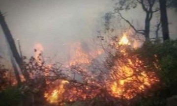 Incendio forestal en San Bernardino amenaza zona urbana