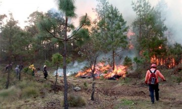 Sofocan siniestro en Camotepec; consume 30 hectáreas