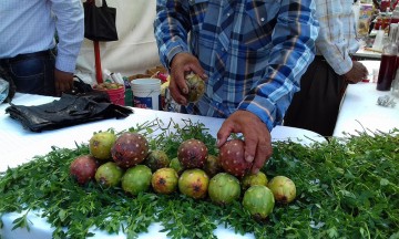 Falta de productores locales encarece precios de la pitaya en Acatlán
