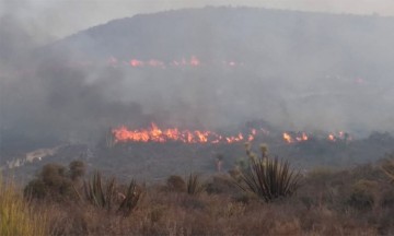 Sin poder sofocar incendio forestal en Reserva de la Biosfera