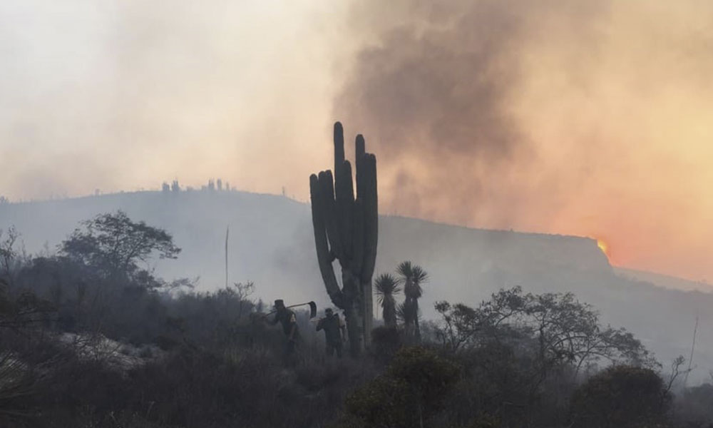 Sofocan incendio en Reserva de Tehuacán