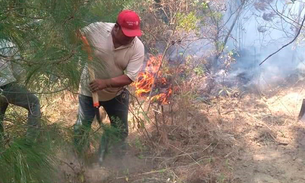Sofocan incendio forestal en San Pedro Benito Juárez