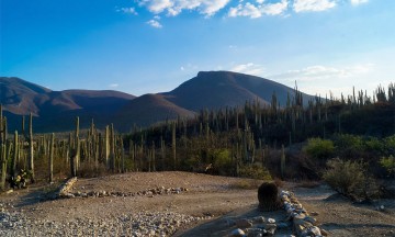 Harán foro contra mineras extranjeras en Chapulco