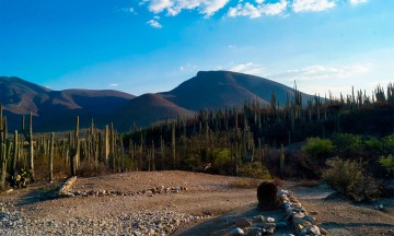 Dan a dos mineras concesión de extracción