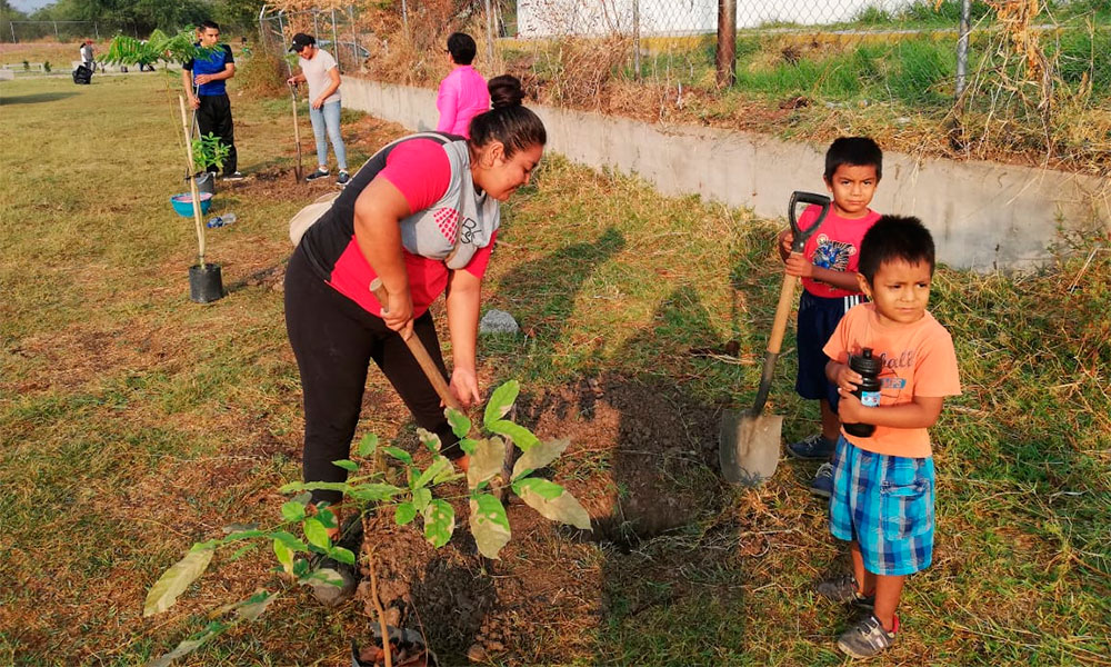 Realizan acatenos labores de reforestación en Acatlán