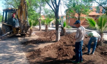 Tromba genera malos olores y contaminación en Tehuacán