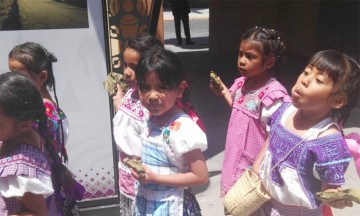 Desairan enseñar lenguas maternas en Tehuacán