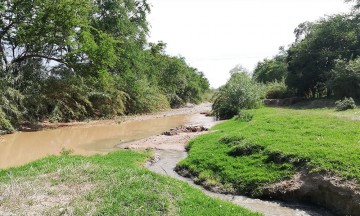 Encienden focos rojos por contaminación de río en Acatlán