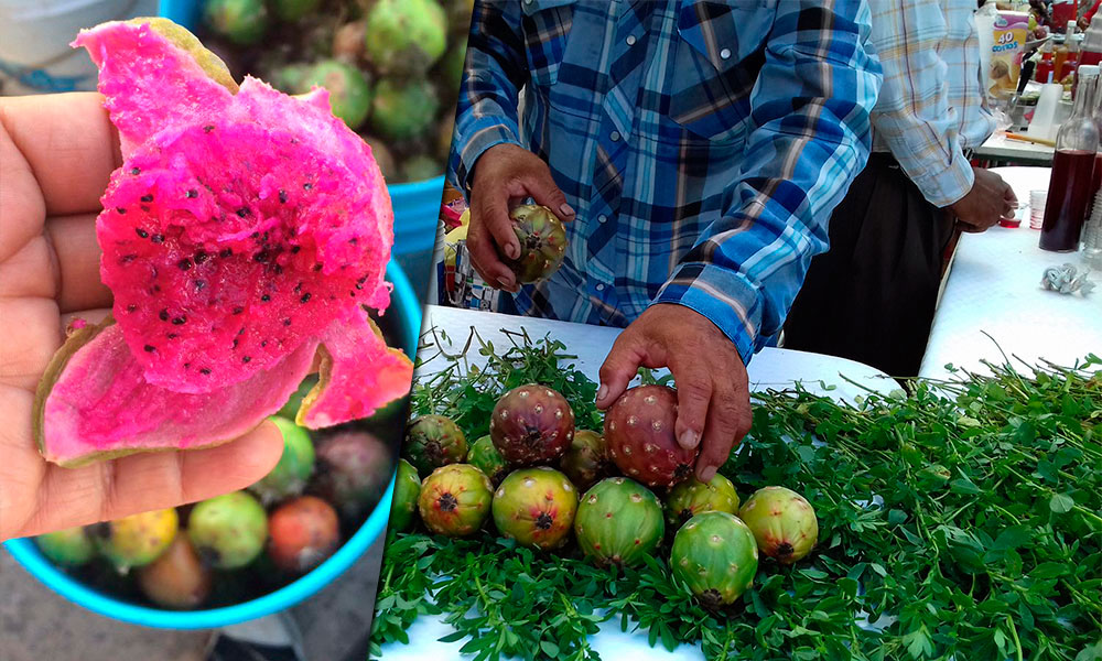La pitaya, una fruta de la Mixteca Poblana que cura