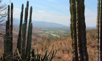 Autoridades y agrupaciones, sin interés por Biósfera