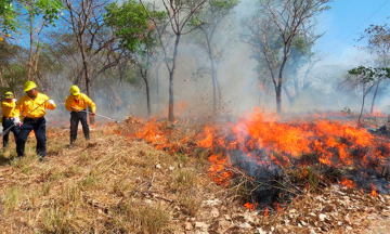 Asociación de silvicultores de Tehuacán elabora plan contra incendios