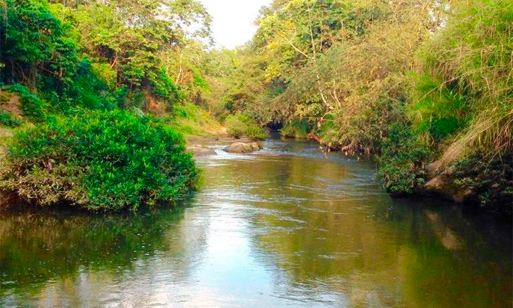 Pobladores se organizan para rescatar río de Acateno