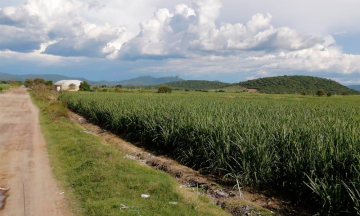Se alistan campesinos de Iz&uacute;car para sembrar durante la can&iacute;cula