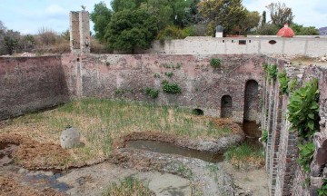 El Aljibe busca ser santuario del ajolote