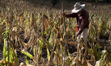Encienden alerta por canícula en seis municipios