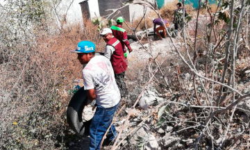 Alerta presencia del mosco de dengue en Tehuacán