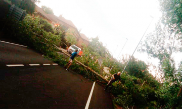 Cierran vialidad por caída de árboles en Hueytamalco