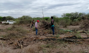 Desmontan Cerro Colorado para lotificar