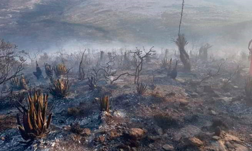 Alertan por más incendios en la Reserva de la Biósfera