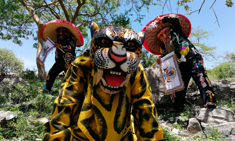 Danza de Tecuanes, herencia e identidad cultural de la Mixteca