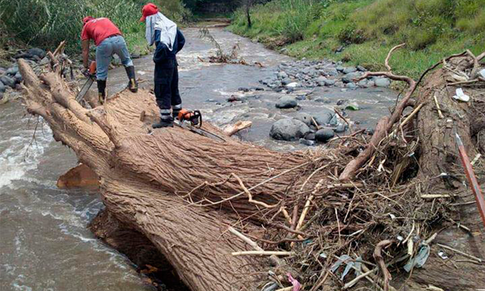 Retiran troncos del Río Nexapa en Izúcar