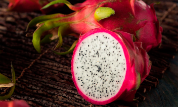 Se alista la cuarta edición de la Feria de la Pitahaya en Ahuatempan