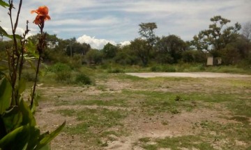 Van más de 10 procesos por invasión de predios en Tehuacán